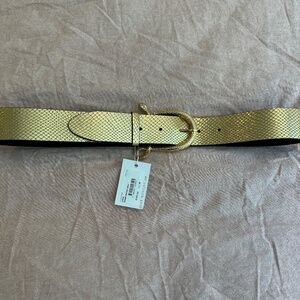 Camilla  gold  belt  with gold buckle